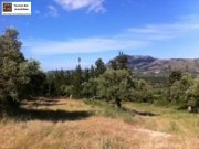 Douliana Kreta, Doulina-Kalyves einzigartiges Baugrundstück mit Wald Grundstück kaufen